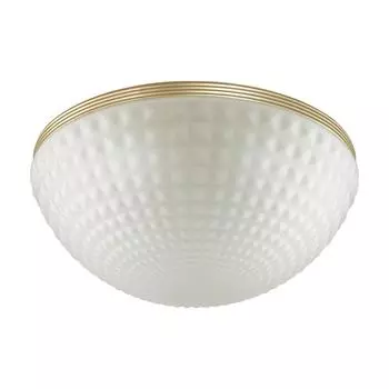 Потолочный светильник Odeon Light MALAGA 4936/4C