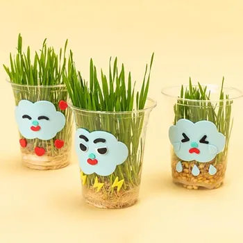 Art Box/Claypia 114 Minhwa Shop EVA для выращивания зародышей пшеницы, 5 наборов