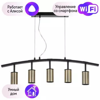 LR735315 Подвесной светильник Rullo Lightstar с поддержкой Алисы, (комплект из 571735+214431-5)