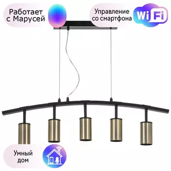 LR735315 Подвесной светильник Rullo Lightstar с поддержкой Маруся (комплект из 571735+214431-5)