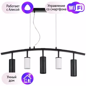 LR735362873 Подвесной светильник Rullo Lightstar с поддержкой Алисы, (комплект из 571735+214436-2+214487-3)