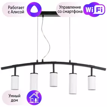 LR735363862 Подвесной светильник Rullo Lightstar с поддержкой Алисы, (комплект из 571735+214436-3+214486-2)