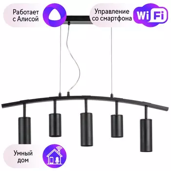 LR735372873 Подвесной светильник Rullo Lightstar с поддержкой Алисы, (комплект из 571735+214437-2+214487-3)