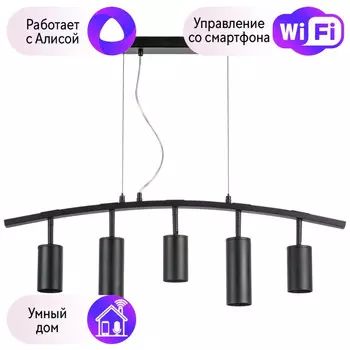 LR735373872 Подвесной светильник Rullo Lightstar с поддержкой Алисы, (комплект из 571735+214437-3+214487-2)