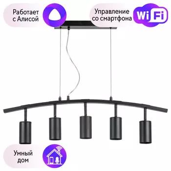 LR735375 Подвесной светильник Rullo Lightstar с поддержкой Алисы, (комплект из 571735+214437-5)