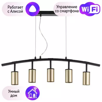 LR735405 Подвесной светильник Rullo Lightstar с поддержкой Алисы, (комплект из 571735+214440-5)
