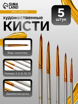 Набор кистей синтетика, 5 штук (№2,6,8,10,12), круглые, в блистере
