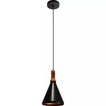 Светильник подвесной N-Light Лофт 124-01-36G-01B