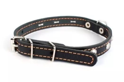 CoLLaR / Ошейник Колар для собак Кожаный Двойной с украшением 32-40см х 20мм