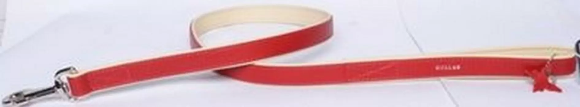 CoLLaR Brilliance / Поводок Колар для собак Лаковая кожа Двойной без украшений 122см х 13мм