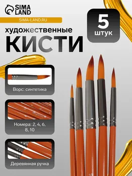 Набор кистей синтетика, 5 штук (№2,4,6,8,10), круглые, в блистере
