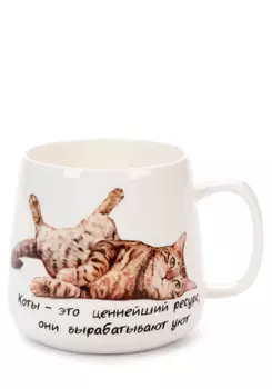 Кружка "Бери кота"