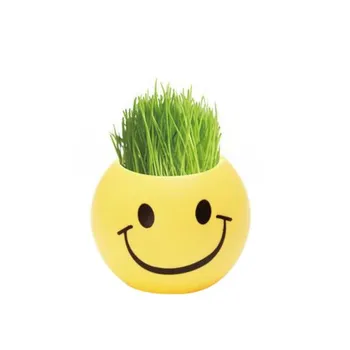 Милый пластиковый горшок Mini Emoji DIY посадка травы домашний рабочий стол окно цветочный горшок 3#