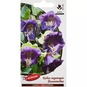 Семена цветов Agroni кобея лазающая фиолетовая