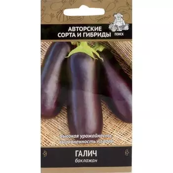 Семена Баклажан «Галич»