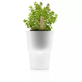 Eva Solo Горшок для растений 20x14,5x14,5x13 см прозрачный Krautertopf Eva Solo