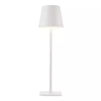 Настольная лампа F-Promo Pyari 4614-1T