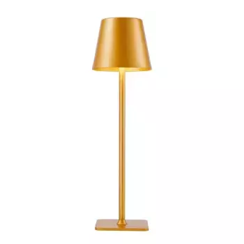 Настольная лампа F-Promo Pyari 4616-1T