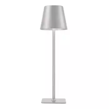 Настольная лампа F-Promo Pyari 4617-1T