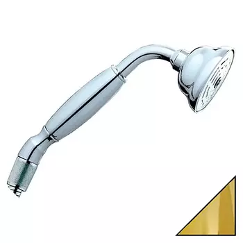 Душевая лейка Bossini Charleston B00580 ORO