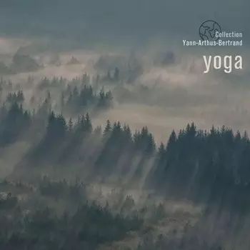 3596974394162, Various Artists, Yoga виниловая пластинка