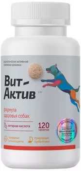Витамины для собак Фармакс Вит-Актив БАД для здоровья собак 120шт (упаковка 2 шт.)