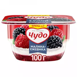 Творожок Чудо с малиной и ежевикой 4.2% 100 г