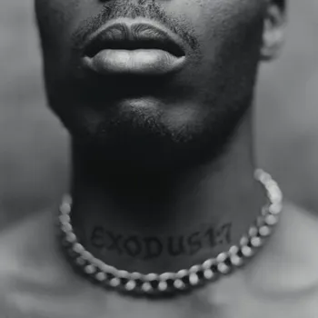 Пластинка DMX