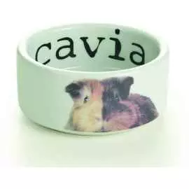 Миска Beeztees керамическая для морской свинки (10 х 4 см, )