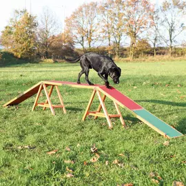 Набор для аджилити Trixie Dog Activity "Бум" для собак (456 х 64 х 30 см)