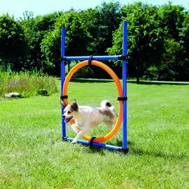 Набор для аджилити Trixie Tire Jump (65 х 115 см)