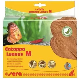 Листья индийского миндаля Sera Catappa Leaves для аквариума (18 см)