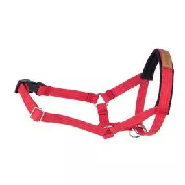 Недоуздок Amiplay Cotton красный для собак породы йоркширский терьер (XS: 10-18 (a) x 19-25 (b) x 1,5 см, Красный)