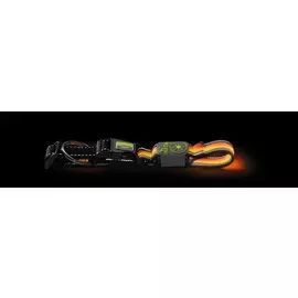 Ошейник Hunter LED Manoa Glow оранжевый для собак (55-60 см x 2,5 см, Оранжевый)