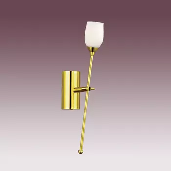 Настенное бра N-Light B-891/1 satin gold