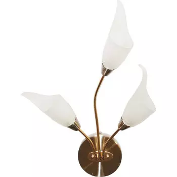 Настенное бра N-Light BX-0143 BX-0143/3B french gold + satin chrome