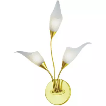 Настенное бра N-Light BX-0143 BX-0143/3 satin gold