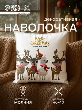 Чехол