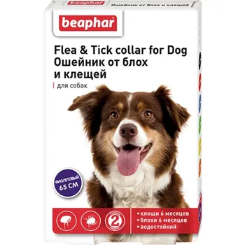 Ошейник Beaphar для собак от блох (6 мес.) и клещей (6 мес.) фиолетовый - 65 см от вшей для взрослых Нидерланды 1 уп. х 1 шт. х 0.55 кг
