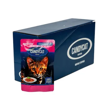Candycat полнорационный влажный корм для кошек, с индейкой и овощами, кусочки в желе, в паучах - 85 г повседневный эконом для взрослых с индейкой для всех пород паучи Россия 1 уп. х 48 шт. х 4.08 кг