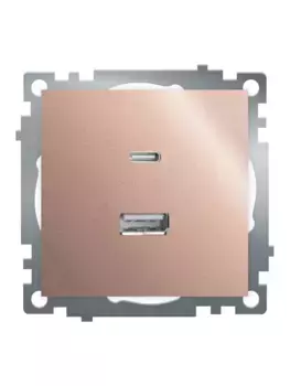 Розетка 2-местная USB + type C (механизм), STEKKER GLS10-7116-02, 250B, 3A, max 20W, серия Катрин, шампань 50056