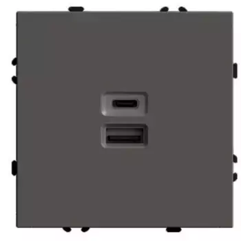 Розетка 2-местная USB + Type C (механизм) Stekker Эмили 250В 20W RST10-5115-09 антрацит soft touch 49931