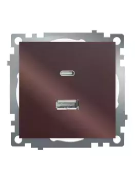 Розетка 2-местная USB + type C, STEKKER GLS10-7116-04, 250В, 3А, max 20W,серия Катрин, шоколад 50057