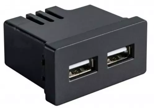 Модуль Sibling Powermodule-2USB(B) в рамку 2 USB-порта 2.4A черный (1/2)