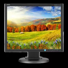 Монитор 19" NEC MultiSync EA193Mi