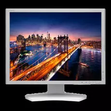 Монитор 21,3 NEC MultiSync P212