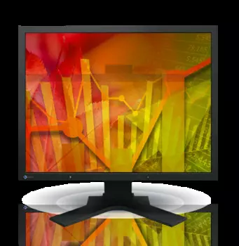 Монитор 21,5" Eizo FlexScan S2133 1600x1200, 6 мс, 420 кд/м2, 1500:1, 178°/178°, IPS, DVI-D (HDCP), DisplayPort, VGA, USB*2, HAS, Pivot, black