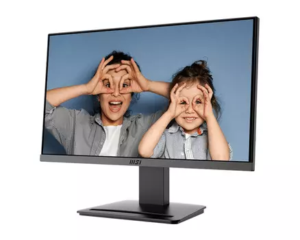 Монитор 21,5" MSI PRO MP223 E2 9S6-3PB9CH-035 1920x1080 16:9 VA Flat, 1ms(MPRT), 100Hz, 3000:1, 100M:1, 250nit, 178/178, HDMI, DP,Tilt, VESA, Black