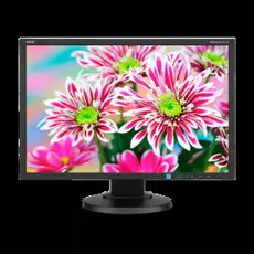 Монитор 22" NEC MultiSync E223W