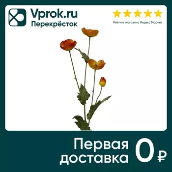Мак оранжевый 78см - Vprok.ru Перекрёсток